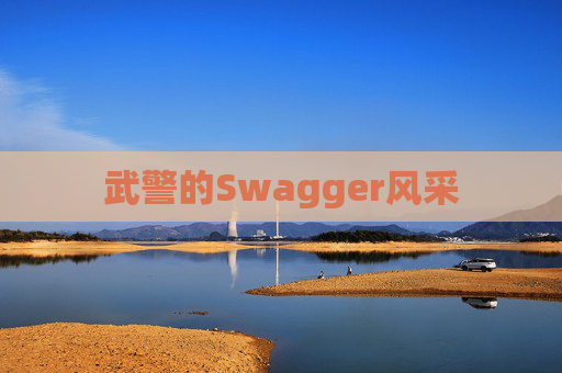 武警的Swagger风采